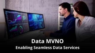 Data MVNOs - Enabling Seamless Data Services