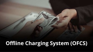 MVNO Index - Offline Charging System (OFCS)