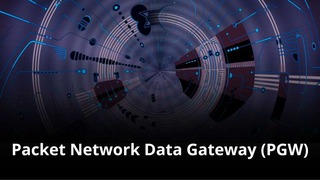 MVNO Index - Packet Network Data Gateway (PGW)