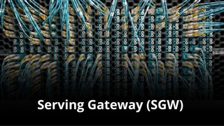 MVNO Index - Serving Gateway (SGW)