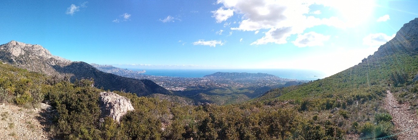 Picture1 - mvnonation live 2025