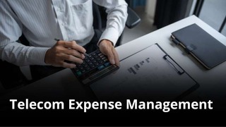 MVNO Index - Telecom Expense Management (TEM)