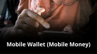 MVNO Index - Mobile Money (small) MVNO Index - Mobile Money (small)
