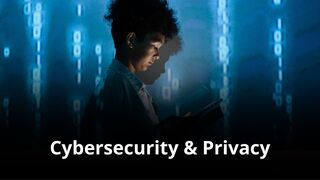 MVNO Index - Cybersecurity_and_Privacy_Solutions_small